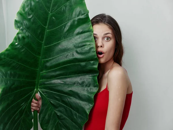 Mujer sorprendida en traje de baño rojo sosteniendo verde hoja grande en las manos vista recortada de cerca —  Fotos de Stock