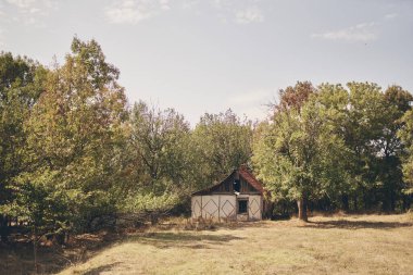 Yeşil ağaç yaz köyü kırsal seyahat