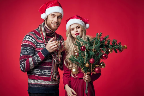 En man med en julgran i händerna bredvid en kvinna känslor semester dekoration — Stockfoto