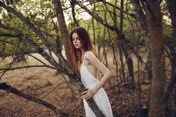 Beyaz elbiseli güzel bir kadın yaz ormanında bir ağaca yaslanıyor. — Stok fotoğraf