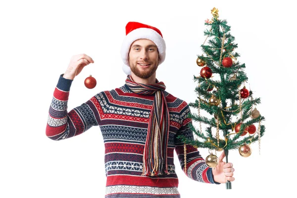 Homem alegre com uma árvore em suas mãos enfeites férias divertido estúdio posando — Fotografia de Stock