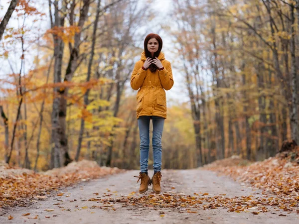 Femme en veste jaune automne feuilles Voyage forêt Voyage — Photo