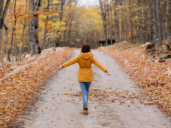 Donna in giacca gialla in autunno foresta passeggiata — Foto Stock