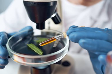 Spektroskop araştırma biyoteknolojisini düzenleyen kadın laboratuvar asistanı