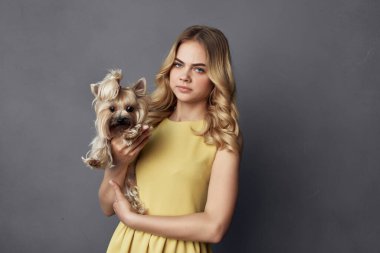 Sarı elbiseli, küçük safkan köpekli bir kadın.