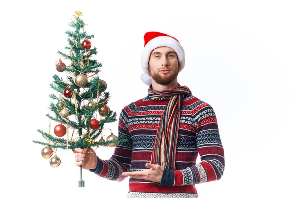 Fröhlich Mann mit einem Baum in den Händen Schmuck Urlaub Spaß isoliert Hintergrund — Stockfoto