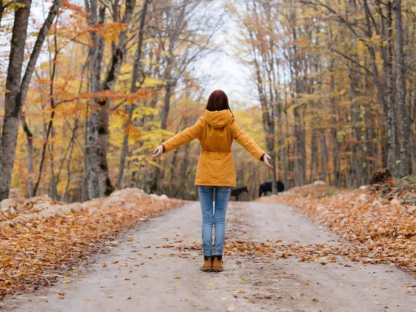 Donna all'aperto in una giacca gialla passeggiate nella strada foresta autunno — Foto Stock