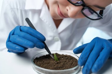 Kadın bilim adamı biyoloji laboratuvarı araştırma tesisleri