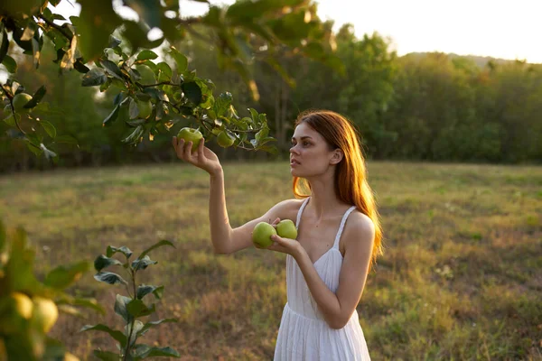 Kvinna Vit Klänning Fält Med Äpplen — Stockfoto