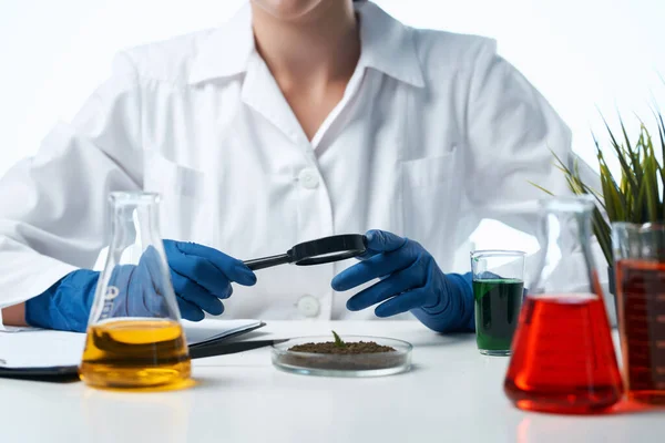 Mujer biólogo blanco abrigo sentado en la mesa de investigación planta —  Fotos de Stock