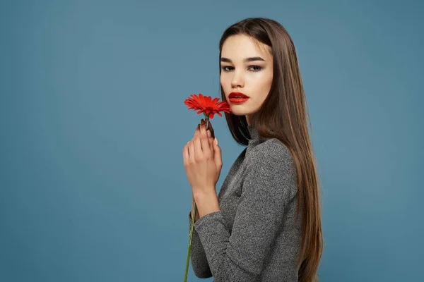 Brünette Mit Roter Blume Großaufnahme Hochwertiges Foto — Stockfoto