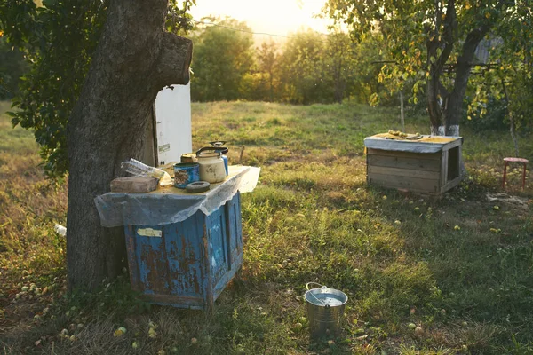 Piknik na przedmieściach jak drzewa Lato słoneczne — Zdjęcie stockowe
