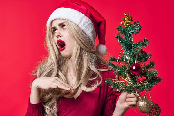 Hezká žena v Santa Claus kostým s vánoční strom v ruce tradice dovolená izolované pozadí — Stock fotografie