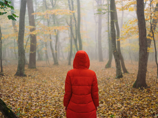 Woman in red jacket autumn forest nature walk lifestyle. High quality photo