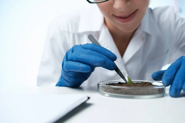 Laboratorium mark forskning växter biologi vetenskap — Stockfoto