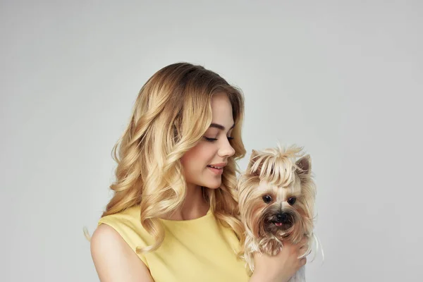 blonde in a yellow dress fun a small dog cropped view fashion