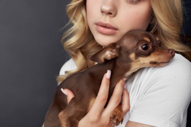 Küçük safkan köpekleri olan sevimli bir kadın. Arkadaşlık eğlencesi.