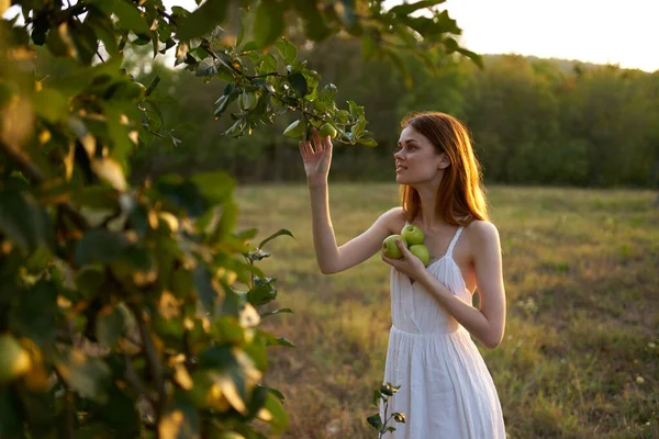 Vacker kvinna på fältet natur äpplen sommar — Stockfoto