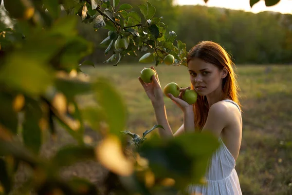 白い服にりんごを着た可愛い女性 — ストック写真