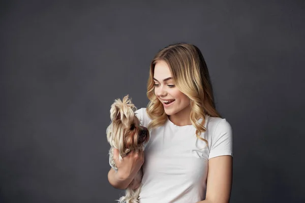 Schöne Frau ein kleiner Hund Spaß Studio isolierten Hintergrund — Stockfoto