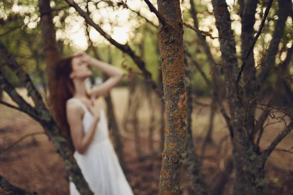 Csinos nő fehér ruhában támaszkodik egy fára a nyári erdőben — Stock Fotó