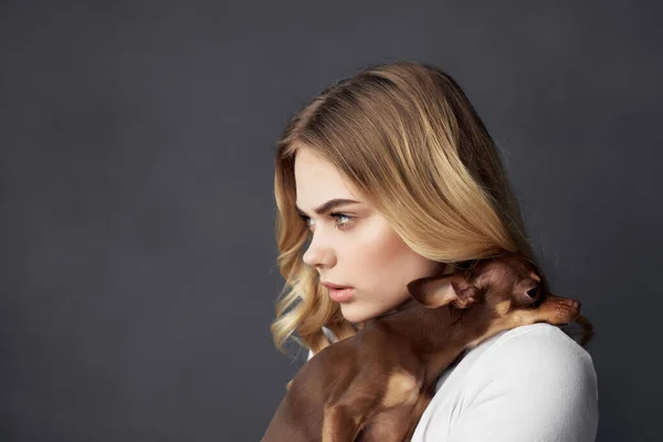 Ξανθό κορίτσι κρατώντας ένα μικρό καθαρόαιμο σκυλί στούντιο μόδας — Φωτογραφία Αρχείου