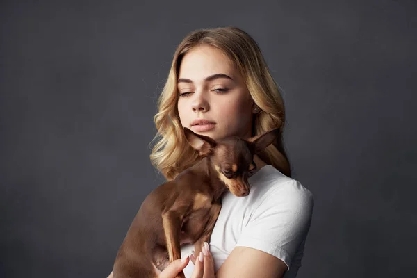 Bella donna pedigree cane moda stile di vita sfondo scuro — Foto Stock