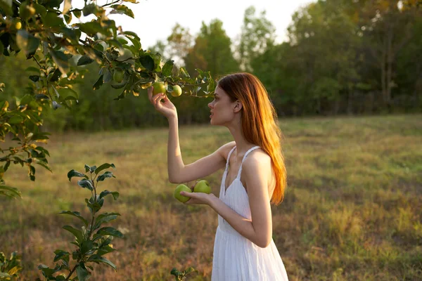 Kobieta w białej sukience na zewnątrz w pobliżu jabłoni — Zdjęcie stockowe