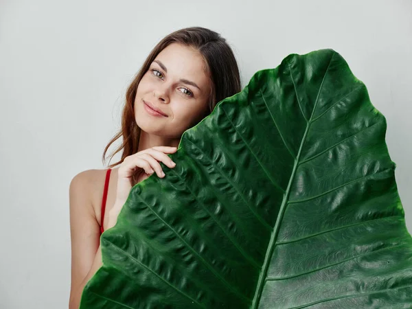 Güzel bir kadın, yeşil palmiye yaprağı cazibesi stüdyosu. — Stok fotoğraf