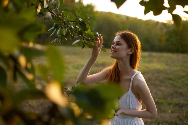 Mujer bonita en el campo vestido blanco cerca del manzano —  Fotos de Stock