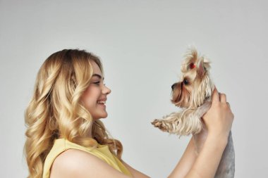 Sarışın hayvan modadan soyutlanmış arkaplan