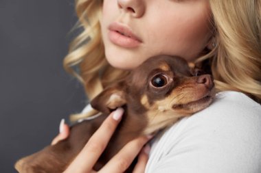 Sarışın. Küçük bir köpek eğlencesi. Stüdyo izole edilmiş.