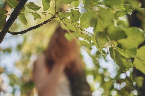 Alegre bonita mujer verde árbol bosque recreación —  Fotos de Stock