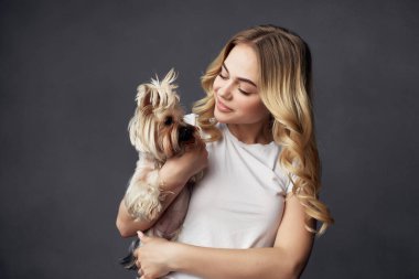 Sarışın köpek stili yaşam tarzı koyu arkaplan