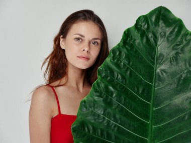 Kırmızı tişörtlü güzel bir kadın açık arkaplanda bir palmiye ağacının yeşil yaprağının arkasında duruyor.