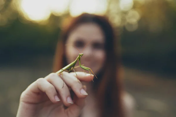 Rothaarige Frau mit Gottesanbeterin in der Hand spazieren — Stockfoto