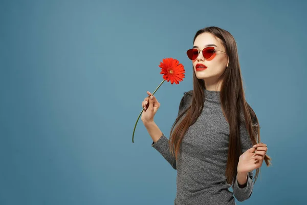 Vonzó nő piros virág napszemüveg stúdió elszigetelt háttér — Stock Fotó