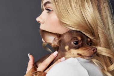 Küçük safkan köpekleri olan sevimli bir kadın. Arkadaşlık eğlencesi.