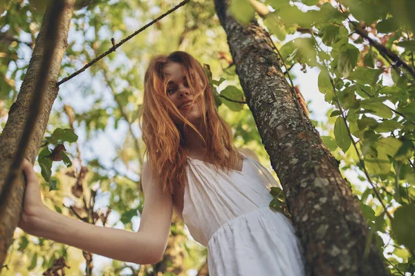 Mulher bonita em vestido branco natureza folhas verdes de uma árvore vista inferior — Fotografia de Stock