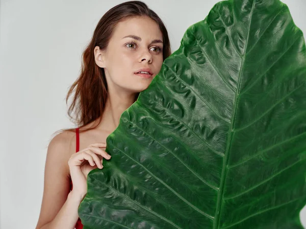 Atractiva mujer con hoja verde de palmera sobre fondo claro vista recortada —  Fotos de Stock