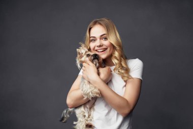 Sarışın köpek stili yaşam tarzı koyu arkaplan