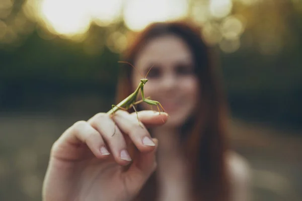 Hübsche Frau mit Gottesanbeterin in der Hand wilde Natur — Stockfoto