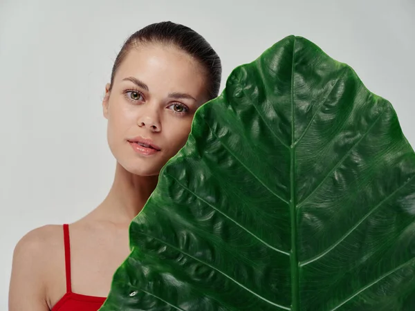 Atractiva mujer en traje de baño cerca de hoja verde de palmera piel limpia aspecto natural juventud —  Fotos de Stock