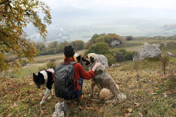 Mujer viaja en las montañas con un perro paseo amistad otoño —  Fotos de Stock