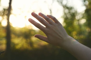 Kadın eli doğa yaz güneşi yeşil yapraklar