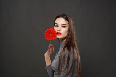 Güzel esmer kırmızı çiçek, makyajın yanında koyu arka plan.