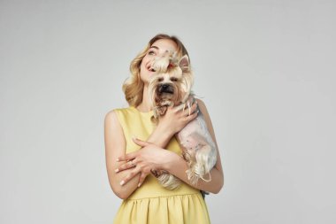 Sarışın, modaya uygun safkan köpek ışık arka plan stüdyosu