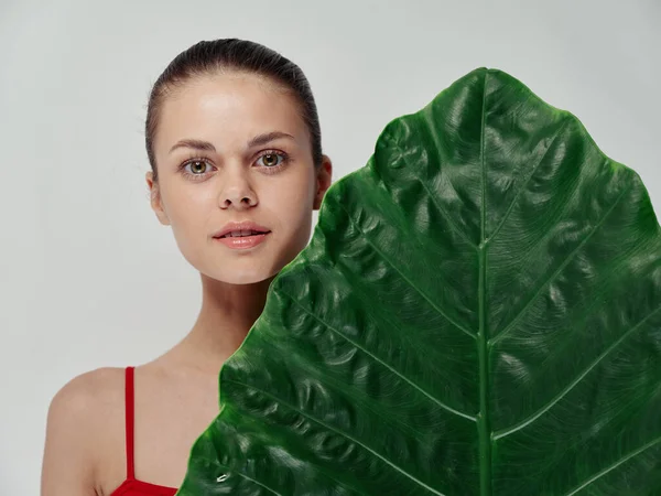 Piel limpia hermosa mujer hoja verde palmera con patrón de fondo aislado —  Fotos de Stock