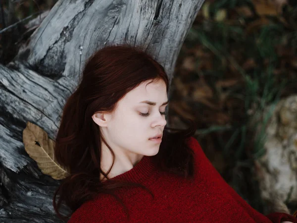 Nő piros pulóver csukott szemmel Fekszik a földön, közel egy fa az erdőben — Stock Fotó