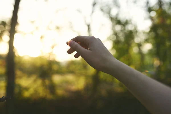 Kobieta ręka natura styl życia lato podróże wakacje — Zdjęcie stockowe